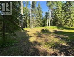 590039 Range Road 113a, Rural Woodlands County, AB T7S1N7 Photo 18