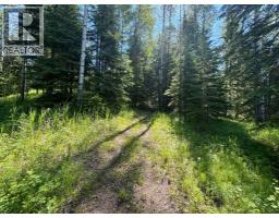 Furnace - 590039 Range Road 113a, Rural Woodlands County, AB T7S1N7 Photo 15
