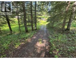 590039 Range Road 113a, Rural Woodlands County, AB T7S1N7 Photo 17