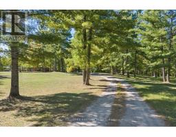 778 Eighth Line Road, Douro Dummer, ON K0L2V0 Photo 44