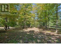 778 Eighth Line Road, Douro Dummer, ON K0L2V0 Photo 45