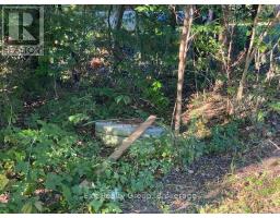 553 Murray Street, Quinte West, ON K8V5P4 Photo 48