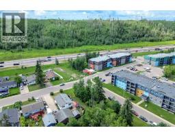 14 Saunderson Avenue, Fort Mcmurray, AB T9H1N2 Photo 33