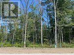 LOT 77 MAPLESIDE DRIVE, Wasaga Beach