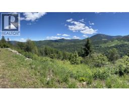 3b Highway Lot# 3, Rossland, BC V0G1Y0 Photo 15