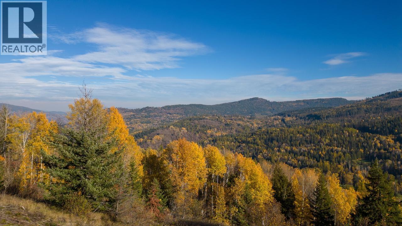 3B Highway Lot# 3, Rossland - Image 1