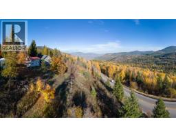 3b Highway Lot# 3, Rossland, BC V0G1Y0 Photo 12