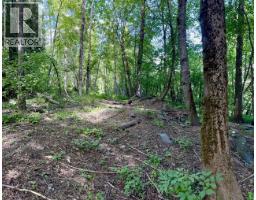3b Highway Lot# 3, Rossland, BC V0G1Y0 Photo 18