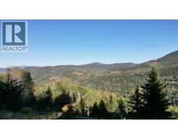 3b Highway Lot# 3, Rossland, BC V0G1Y0 Photo 24