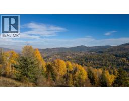 3b Highway Lot# 3, Rossland, BC V0G1Y0 Photo 9