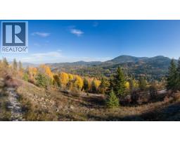 3b Highway Lot# 3, Rossland, BC V0G1Y0 Photo 13