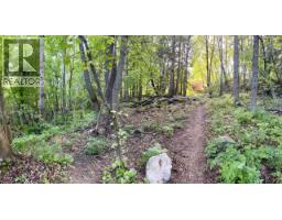 3b Highway Lot# 3, Rossland, BC V0G1Y0 Photo 20