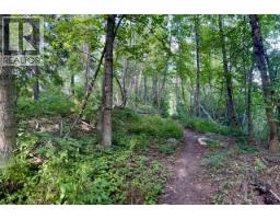 3b Highway Lot# 3, Rossland, BC V0G1Y0 Photo 19