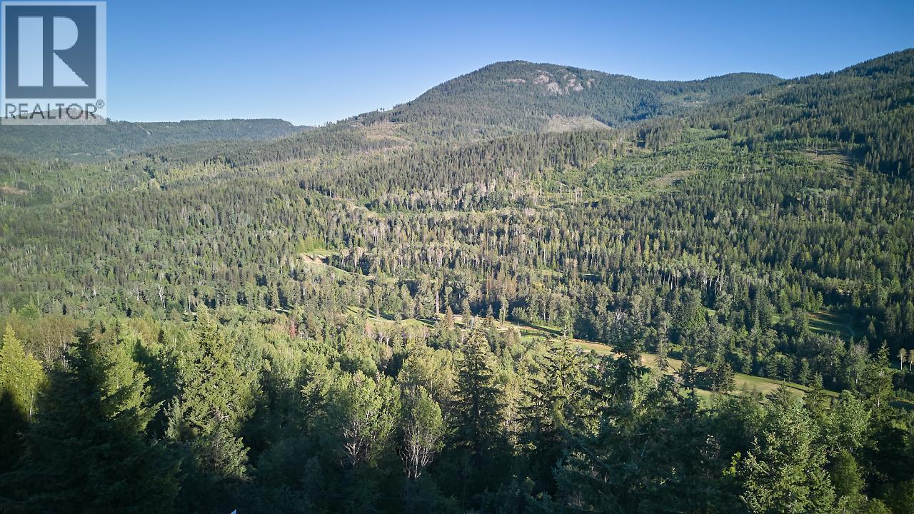 3B Highway Lot# 3, Rossland - Image 1