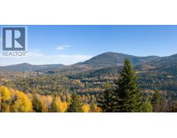 3b Highway Lot# 3, Rossland, BC V0G1Y0 Photo 8