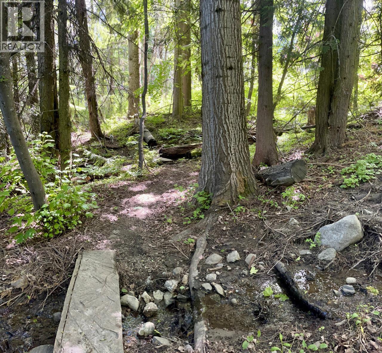 3B Highway Lot# 3, Rossland - Image 1