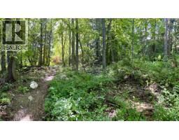 3b Highway Lot# 3, Rossland, BC V0G1Y0 Photo 21