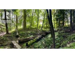 3b Highway Lot# 3, Rossland, BC V0G1Y0 Photo 23