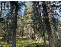 29436 Range Road 54 A, Rural Mountain View County, AB T0M2E0 Photo 6