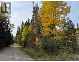 29436 Range Road 54 A, Rural Mountain View County, AB T0M2E0 Photo 21