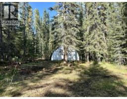 29436 Range Road 54 A, Rural Mountain View County, AB T0M2E0 Photo 14