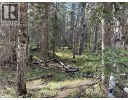 29436 Range Road 54 A, Rural Mountain View County, AB T0M2E0 Photo 19