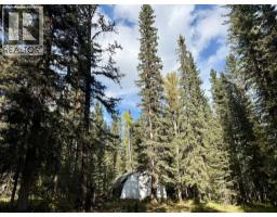 29436 Range Road 54 A, Rural Mountain View County, AB T0M2E0 Photo 13