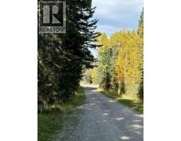 29436 Range Road 54 A, Rural Mountain View County, AB T0M2E0 Photo 23