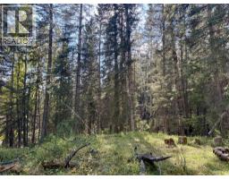 29436 Range Road 54 A, Rural Mountain View County, AB T0M2E0 Photo 20