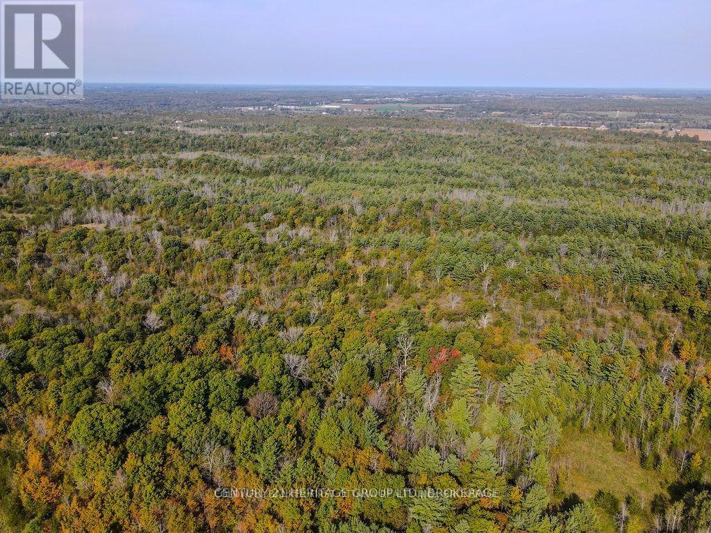 PT LT G CONCESSION GORE, Loyalist (Lennox and Addington - South) — photo 5