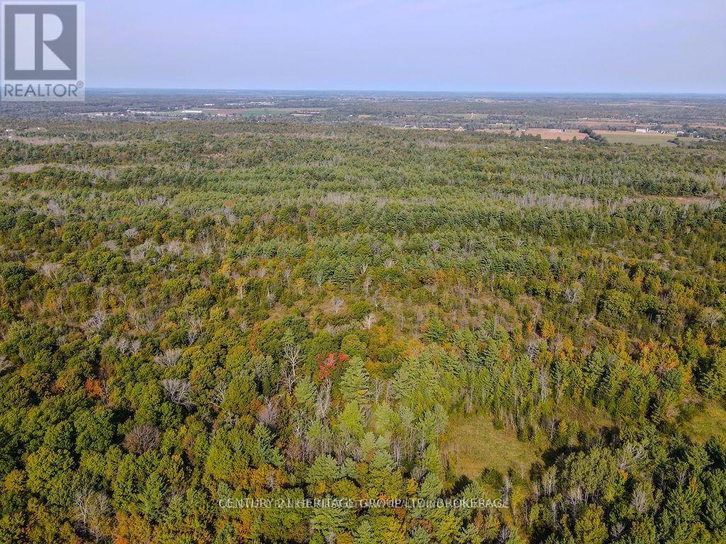 PT LT G CONCESSION GORE, Loyalist (Lennox and Addington - South) — photo 6