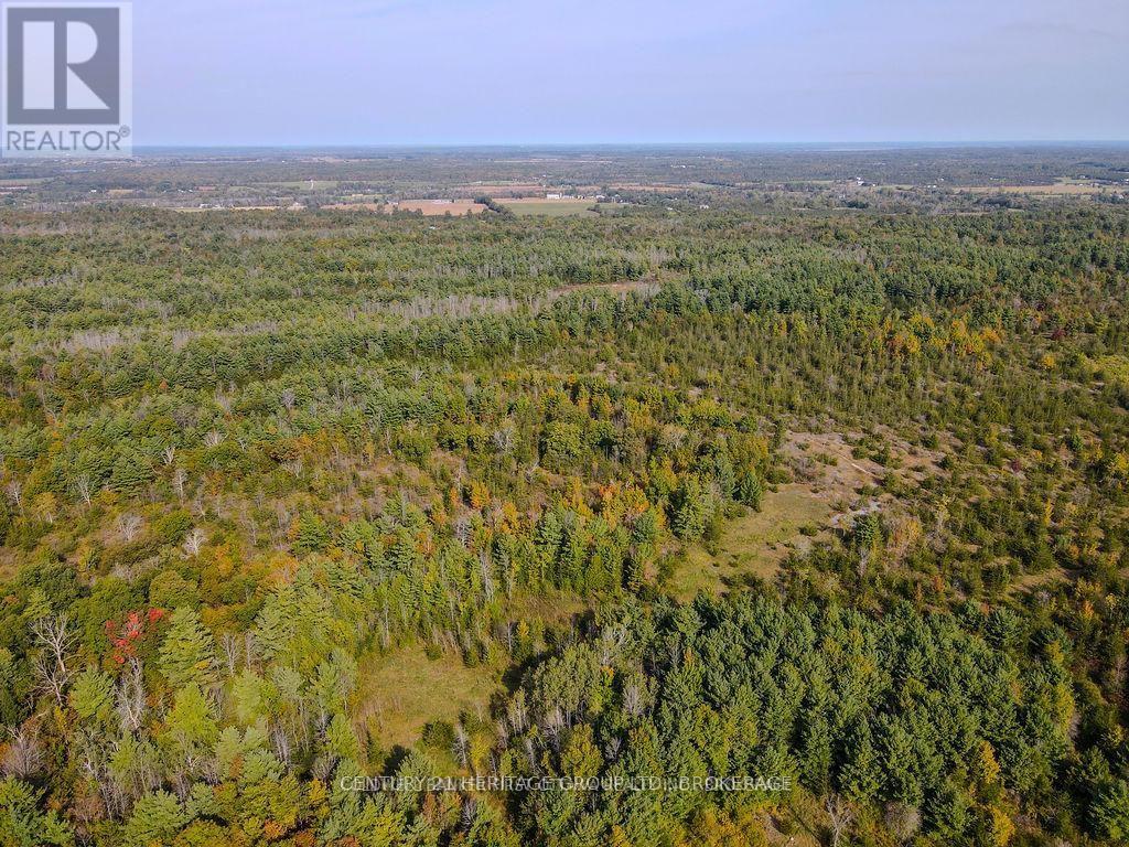 PT LT G CONCESSION GORE, Loyalist (Lennox and Addington - South) — photo 7