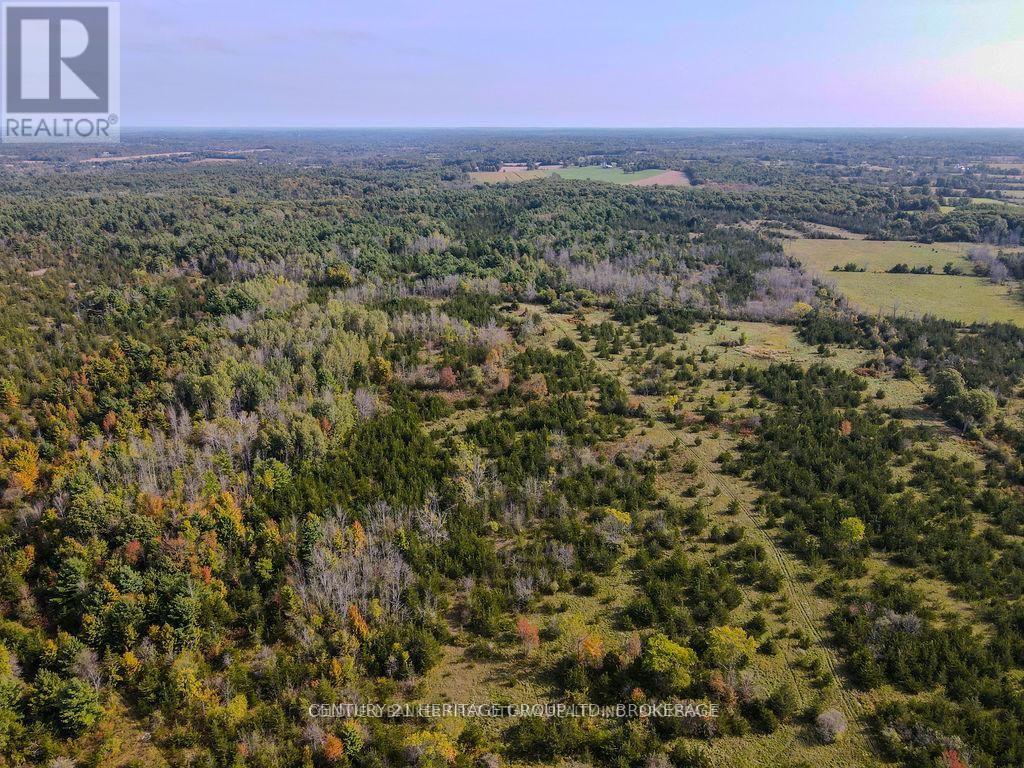 PT LT G CONCESSION GORE, Loyalist (Lennox and Addington - South) — photo 9