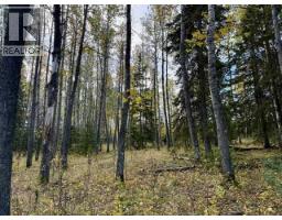 32310 Range Road 45, Rural Mountain View County, AB T0M1X0 Photo 10