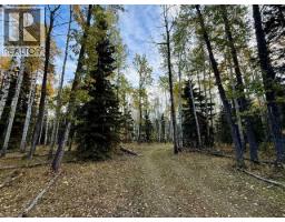 32310 Range Road 45, Rural Mountain View County, AB T0M1X0 Photo 6