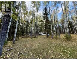 32310 Range Road 45, Rural Mountain View County, AB T0M1X0 Photo 7