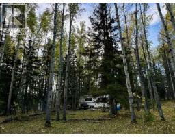 32310 Range Road 45, Rural Mountain View County, AB T0M1X0 Photo 8