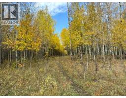 32310 Range Road 45, Rural Mountain View County, AB T0M1X0 Photo 11