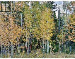 32310 Range Road 45, Rural Mountain View County, AB T0M1X0 Photo 9