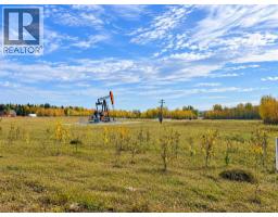 32310 Range Road 45, Rural Mountain View County, AB T0M1X0 Photo 12