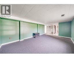 237 Saint Mary's Road, Lakeshore, ON N0R1C0 Photo 29