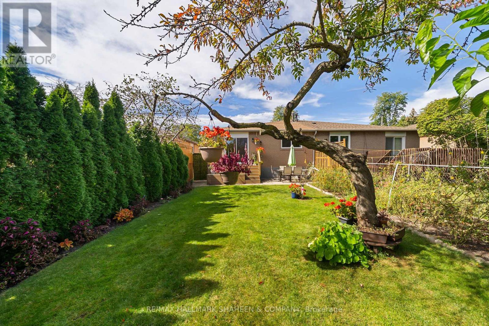 44 ELISE TERRACE - Image 45