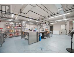 587-589 College Street, Toronto, ON M6G1B2 Photo 22