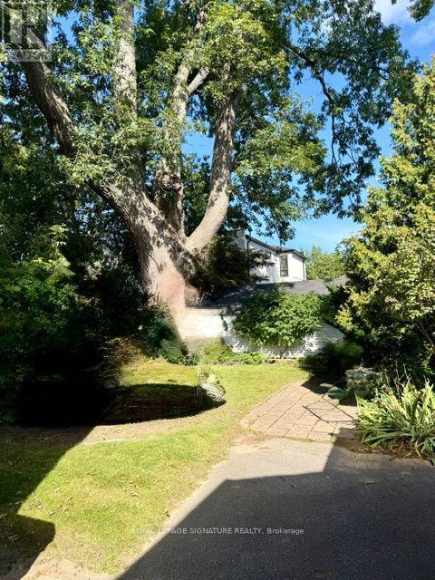 LOWER - 152 BARKER AVENUE, Toronto (Woodbine-Lumsden) — photo 11