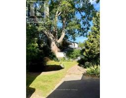 Lower - 152 Barker Avenue, Toronto, ON M4C2P1 Photo 11