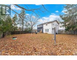 102 Queen Street S, New Tecumseth, ON L0G1W0 Photo 47