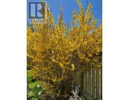 282b Brock Street W, Uxbridge, ON L9P1G1 Photo 28