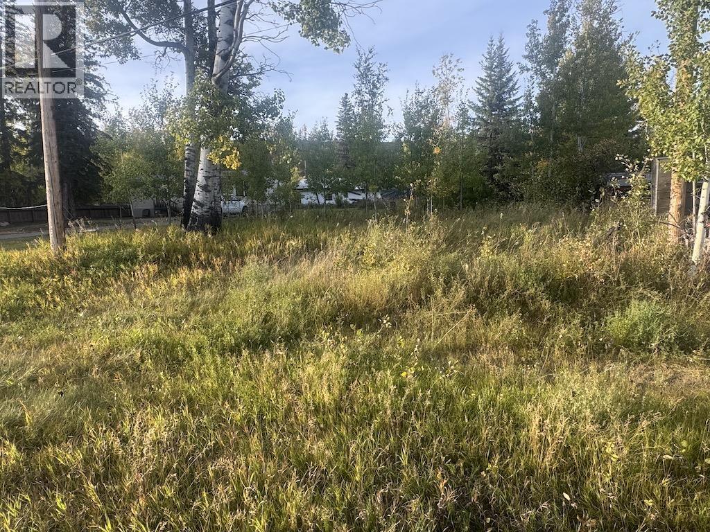 10109 PAQUETTE AVENUE, Hudsons Hope