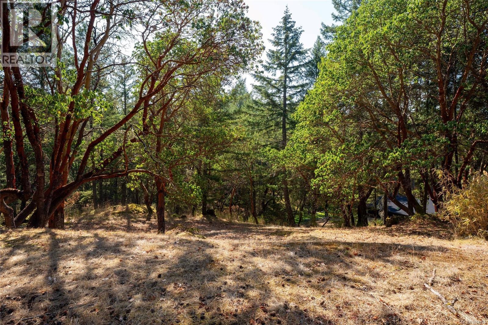 614 Tammy Pl - Image 32
