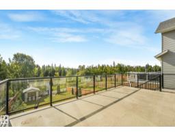 417 Edgemont Rd Nw, Edmonton, AB T6M0Y6 Photo 45